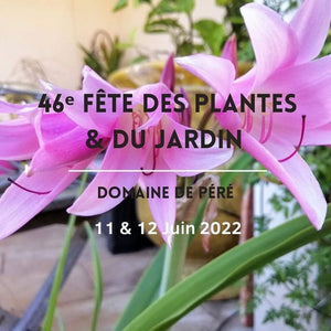 Fête des Plantes du Domaine de Péré 11-12 juin