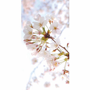 Nappe, rideau ou tenture "Fleur de Cerisier"